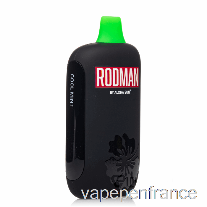 Stylo Vape Jetable à La Menthe Fraîche Rodman 9100